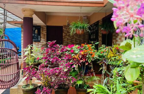 Full Property /Per Day